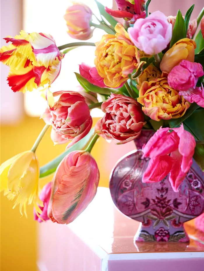 Blumenbuero-Tulipa-expiration_date-2028-07-03 (1).jpg Blumenbuero-Tulipa-expiration_date-2028-07-03 (1).jpg