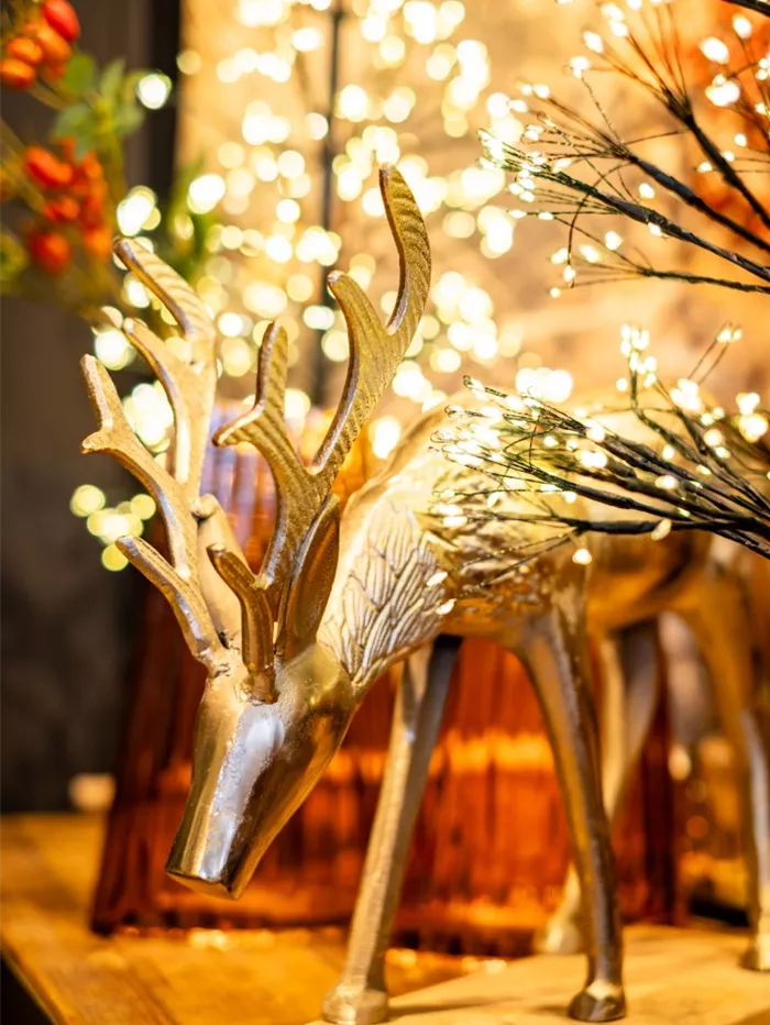 xmas_aj_2025_1.jpg xmas_aj_2025_1.jpg